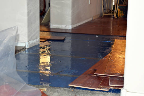 Professional Basement Flood Cleanup technician working in Teaneck, NJ